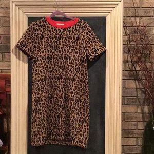 Darling J.Crew sweater dress.